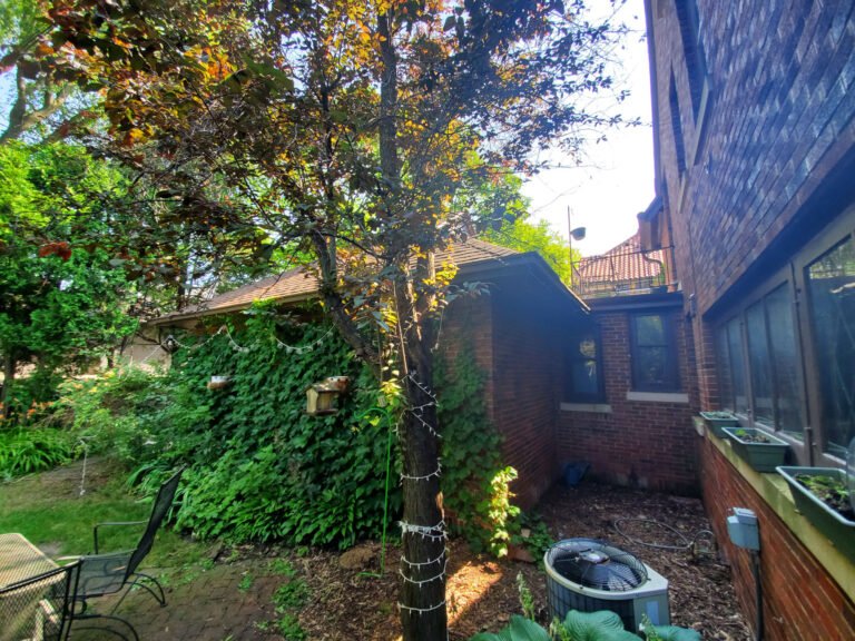 20190724_100351